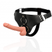 HARNESS ATTRACTION - RNES TAYLOR DELUXE 18 X 4,5CM